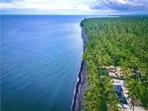 Snorkeling & Diving Adventure