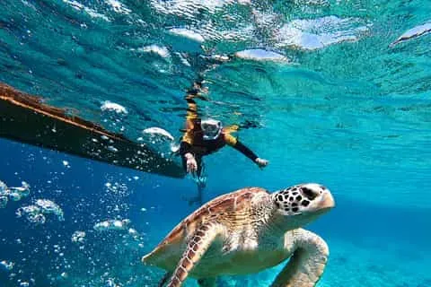 A Beginner's Guide to Snorkeling in Amed